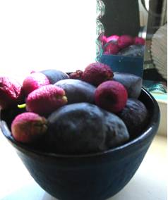 BLOG berries p