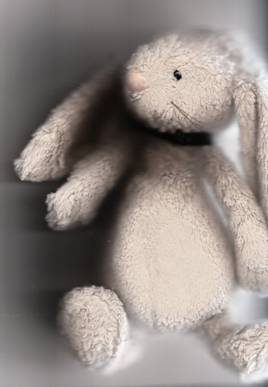 BLOG bunny