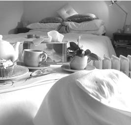 BLOG cocoon BLOG cocoon
