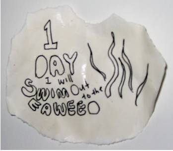 BLOG seaweed BLOG seaweed
