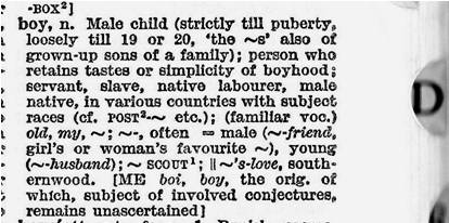 BOY dictionary BOY dictionary