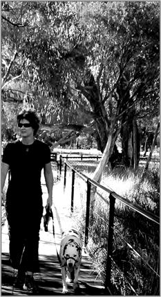 IMAGE walk dog