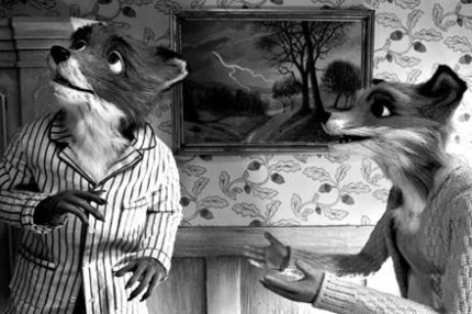 blog fox blog fox